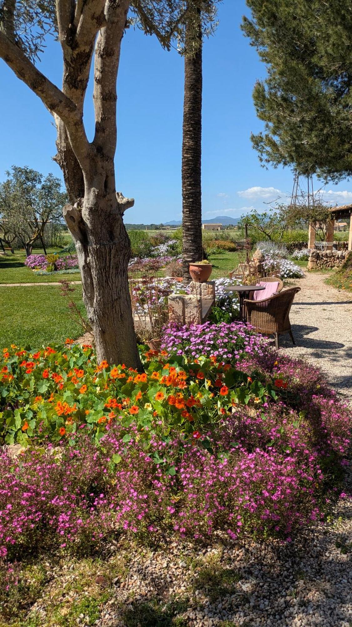 Agroturismo Finca Sant Blai Кампос Екстер'єр фото