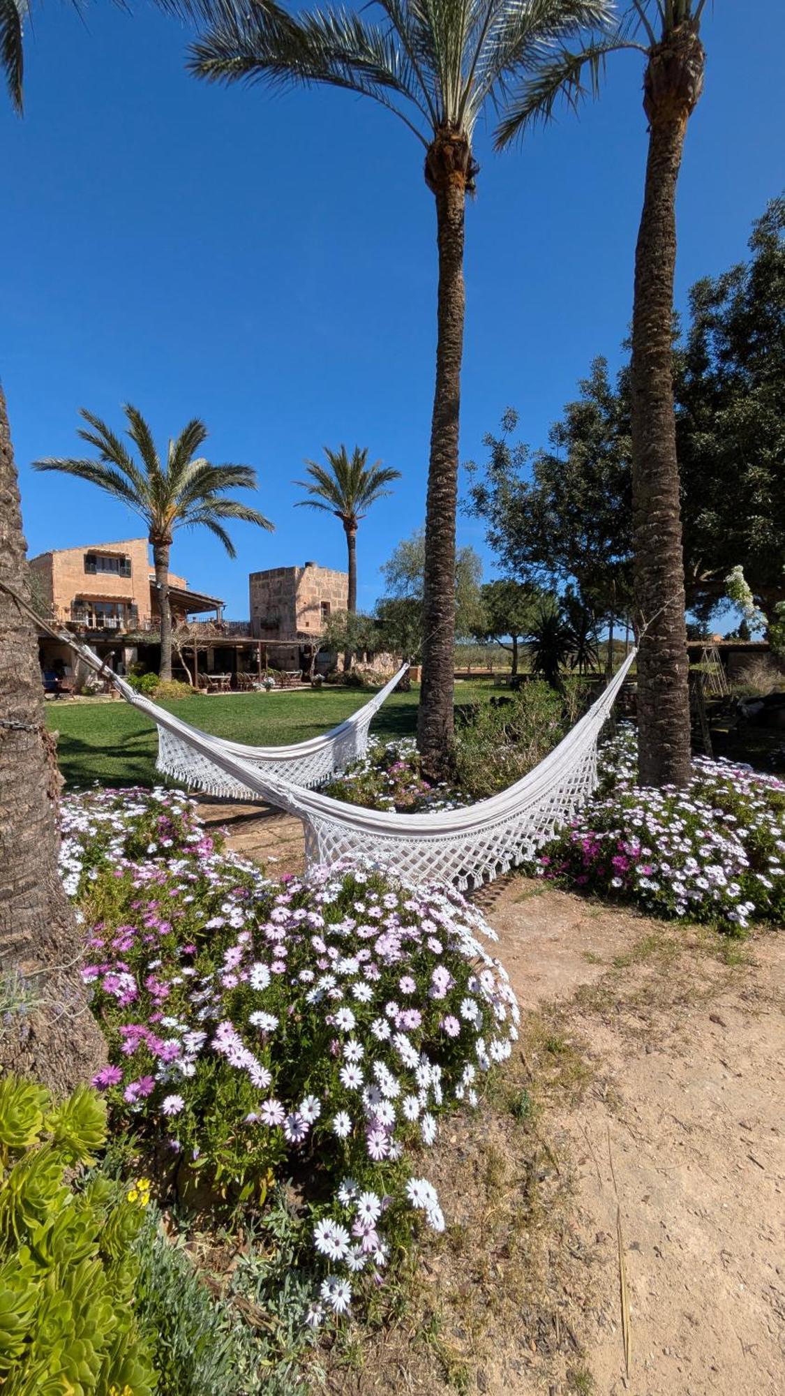 Agroturismo Finca Sant Blai Кампос Екстер'єр фото