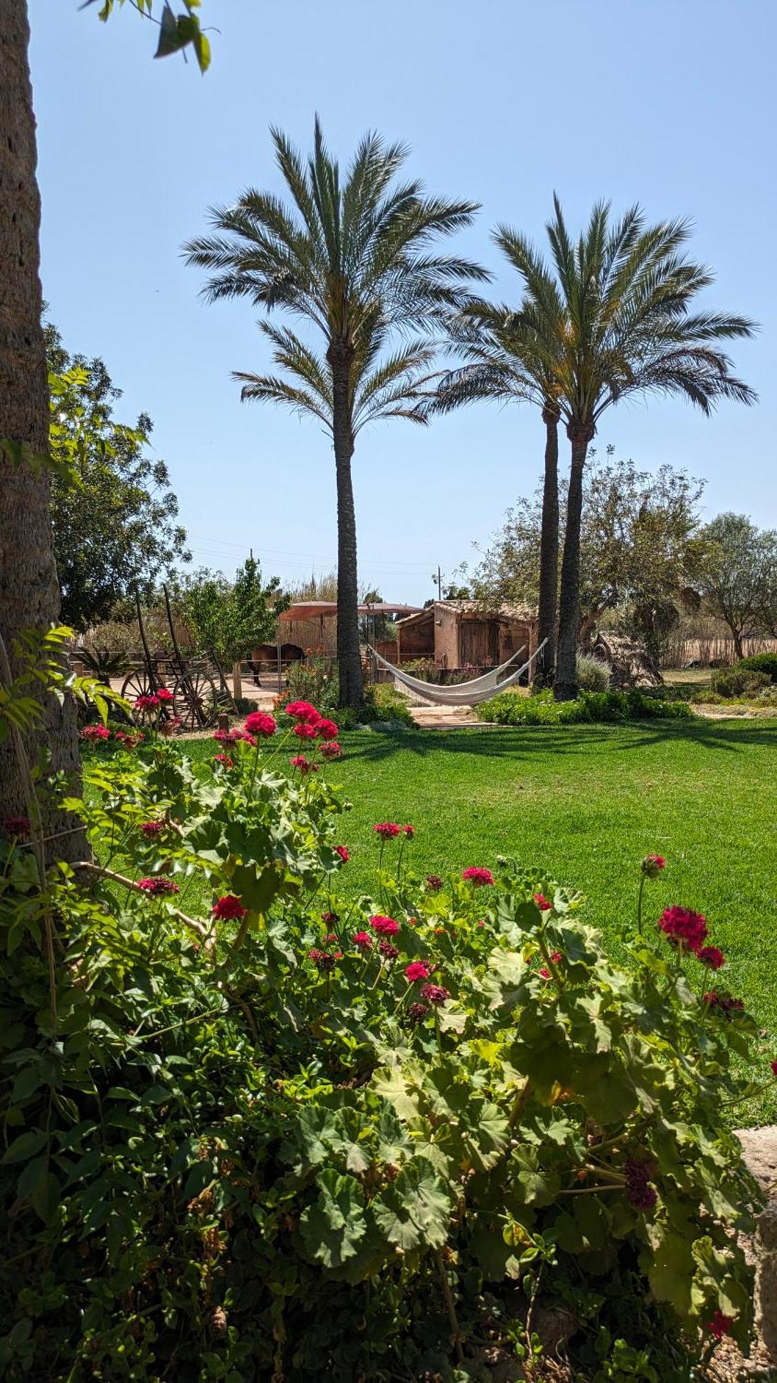 Agroturismo Finca Sant Blai Кампос Екстер'єр фото