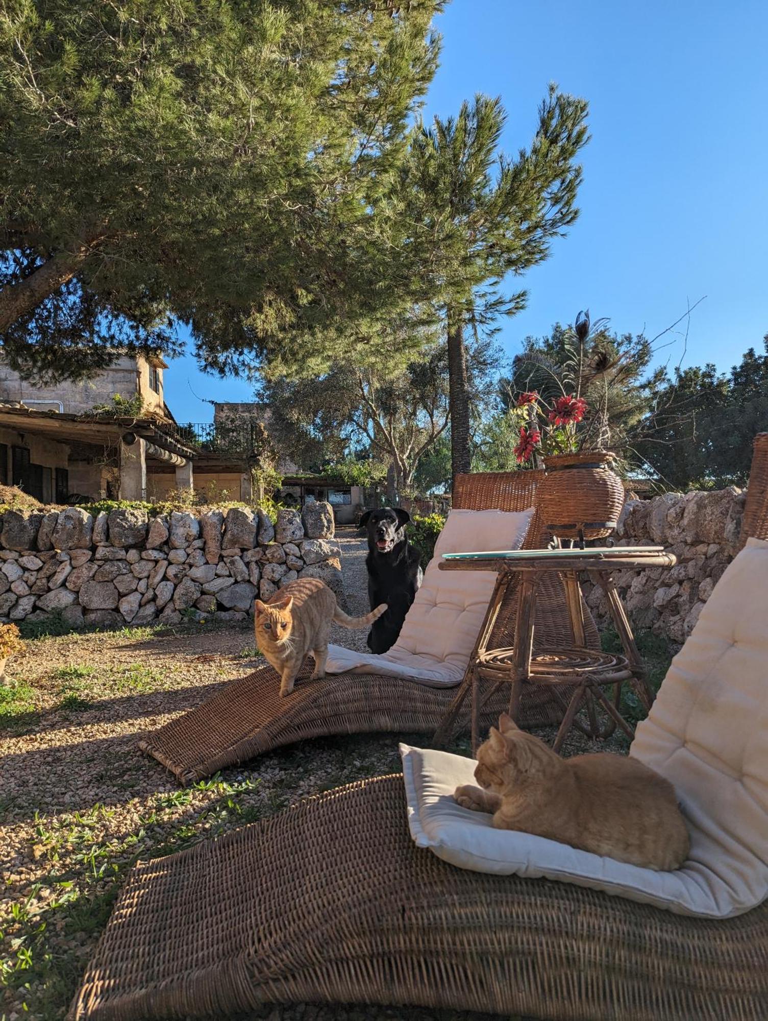 Agroturismo Finca Sant Blai Кампос Екстер'єр фото
