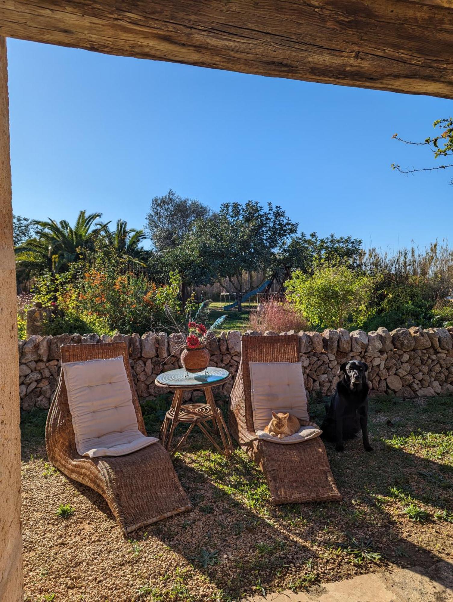 Agroturismo Finca Sant Blai Кампос Екстер'єр фото